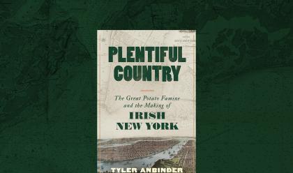 Plentiful Country book cover