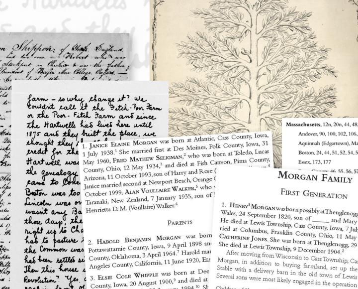 various family papers and family tree