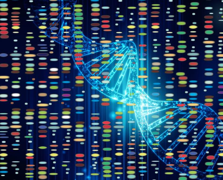 dna strand